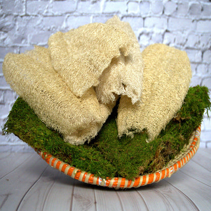 Ugandan Exfoliating Natural Loofah (Ekyangwe)